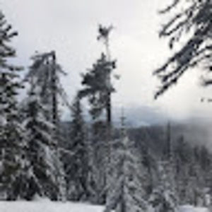 Meet your Posher, Jocelyn